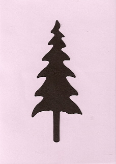 Small Pine Tree