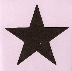 Extra Large Star