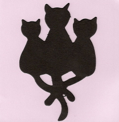 Cat Trio