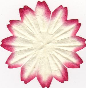 Paper Flower Petal Red & Cream