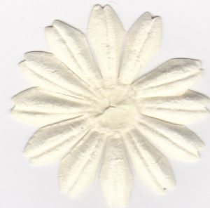 Paper Flower Petal Cream