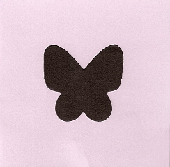 Mini Butterfly