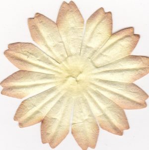 Paper Flower Petal Beige & Cream