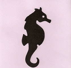 Seahorse