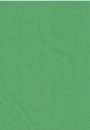 A4 Quality Plain  Matt Paper – Xmas Green