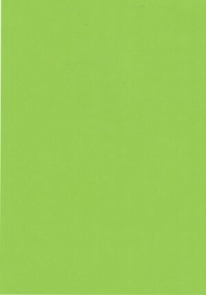 A4 Quality Plain Card - Spring Green