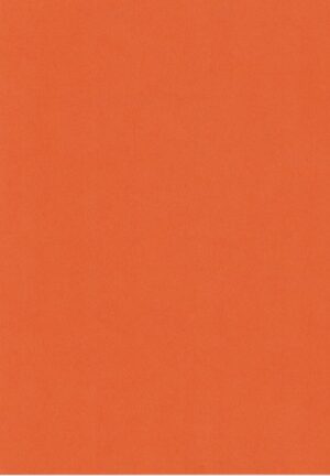 A4 Quality Plain Card - Orange