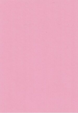 A4 Quality Plain Card - Pink