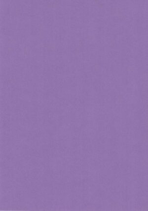 A4 Quality Plain Card - Purple