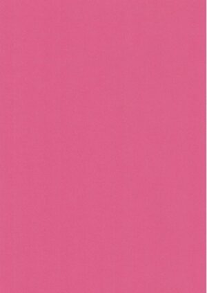 A4 Quality Plain Card - Raspberry
