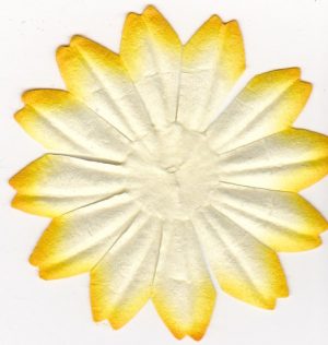 Paper Flower Petals - Yellow & White