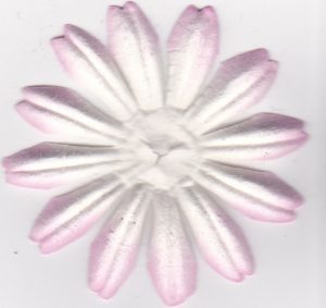 Paper Flower Petals - Pink & White